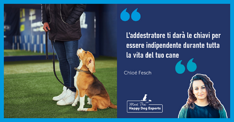 Tutti i cani hanno bisogno di un addestratore professionista?