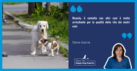 Come presentare i cani a passeggio: lo spiega un esperto