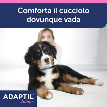 ADAPTIL Junior Collare