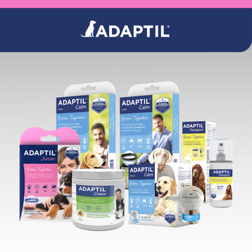 ADAPTIL Junior Collare