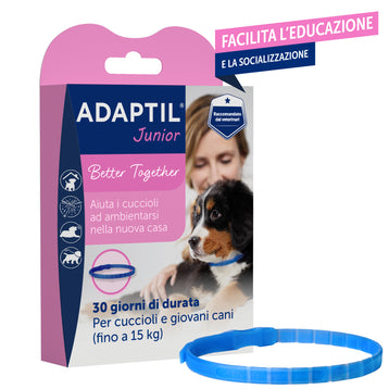 ADAPTIL Junior Collare