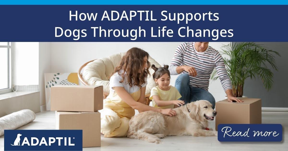 Una famiglia e il loro cane che impacchettano scatole per tornare a casa.