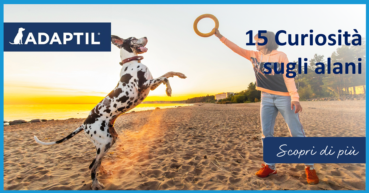 15 Curiosità sugli alani