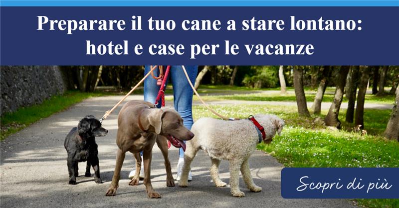 Preparare il tuo cane a stare lontano: hotel e case per le vacanze