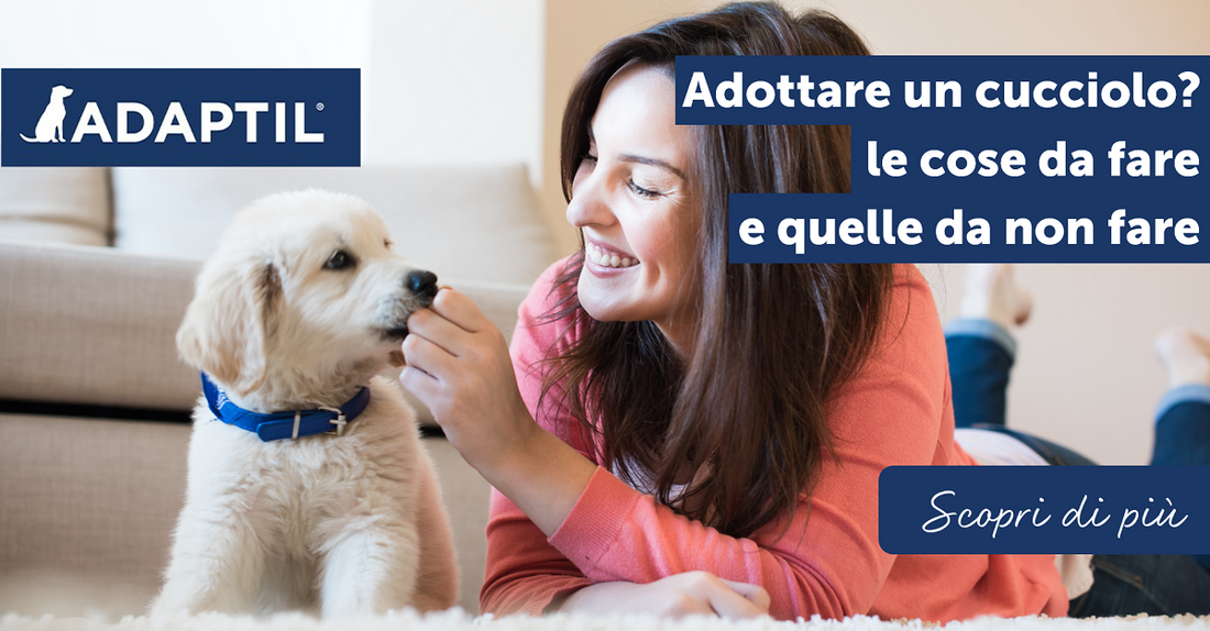 Adottare un cucciolo? Le cose da fare e quelle da non fare