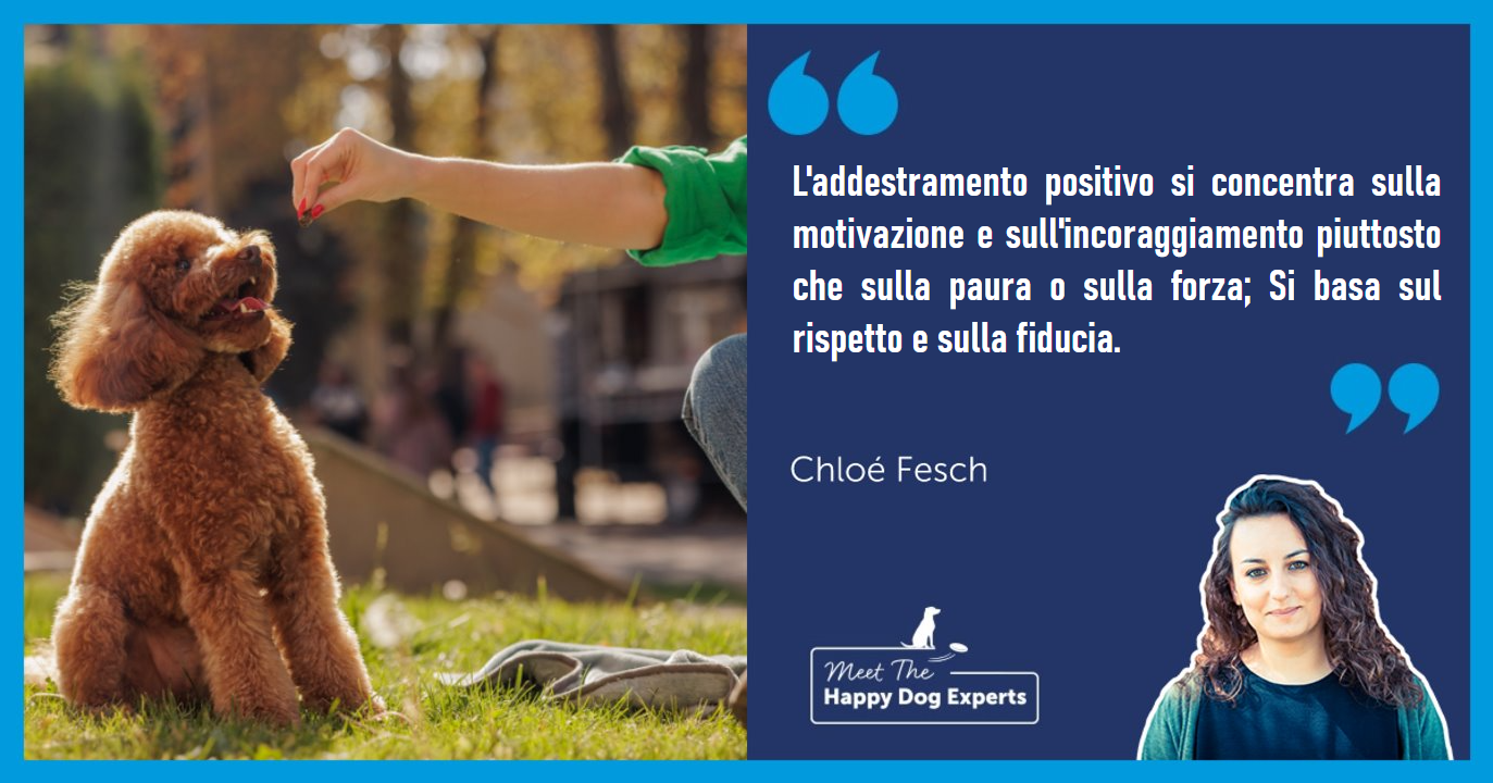 Donna che addestra un cane in un parco con premi. 