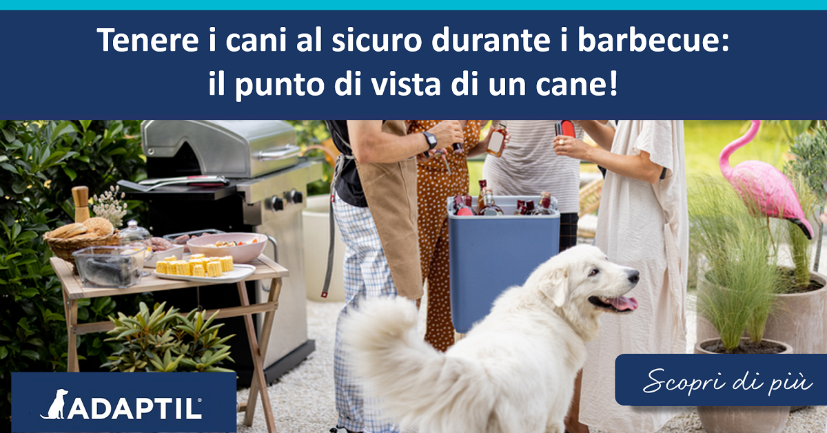 Mantenere i cani al sicuro durante i barbecue: il punto di vista di un cane!