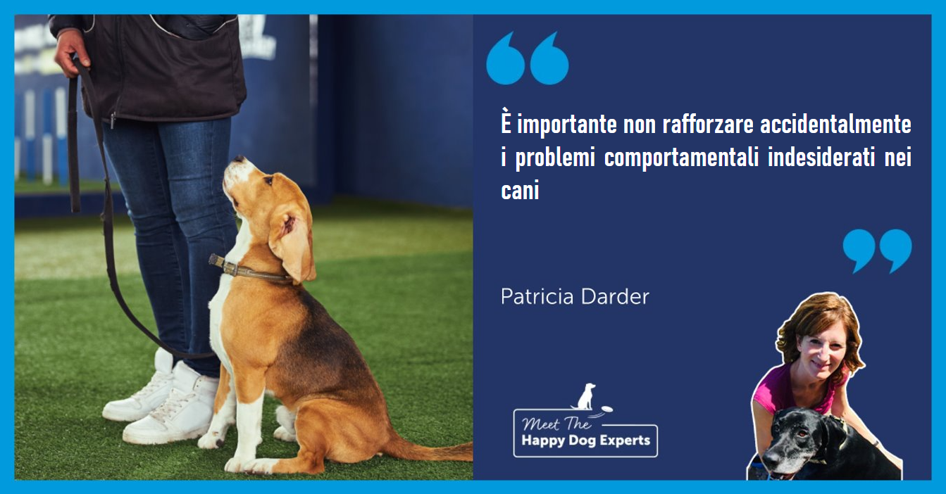 Supportare i problemi comportamentali dei cani: lo spiega un esperto!