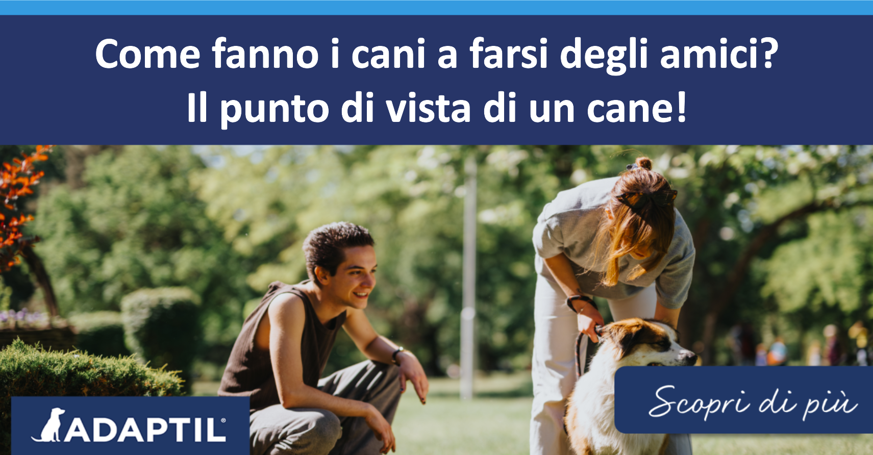 Un cane a un passo dal lasciarsi andare al guinzaglio in un parco sole.