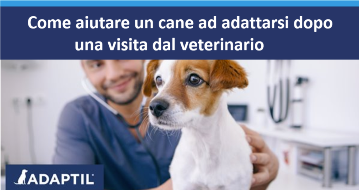 Veterinario sorridente che tiene saldamente un cane in una clinica veterinaria.