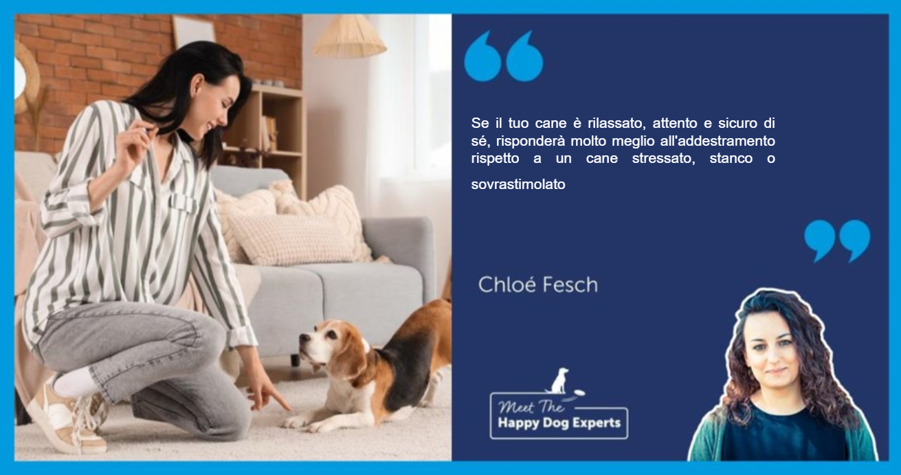 Donna che usa un premio per addestrare il suo cane a sdraiarsi in casa.