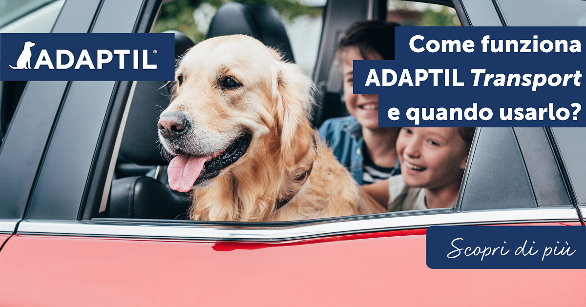 Come funziona ADAPTIL Transport