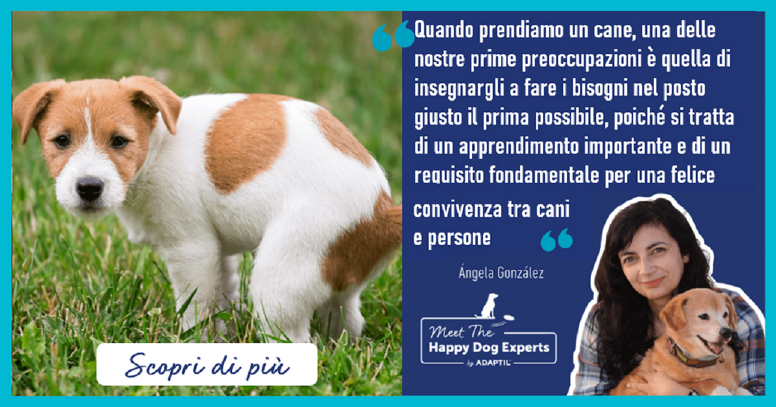 Come insegnare al cucciolo a fare i bisogni fuori