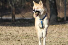 HIRO, 6 ANNI