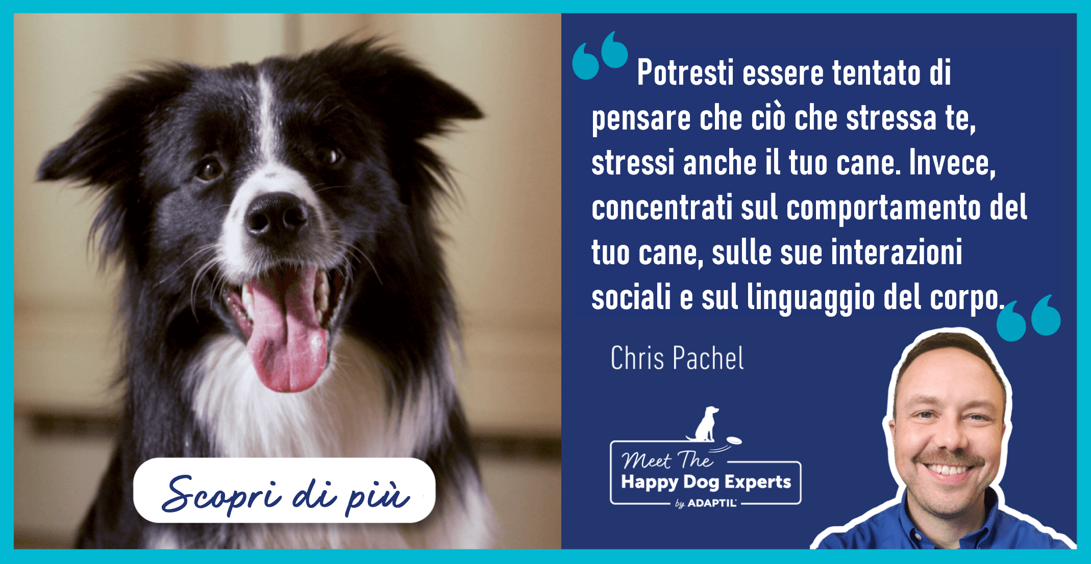 Come aiutare il cane a superare lo stress
