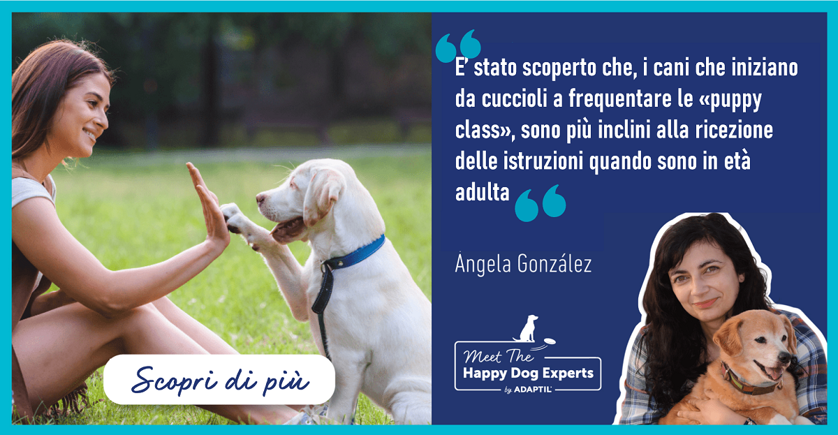 Devo portare il mio cucciolo a un corso di addestramento?