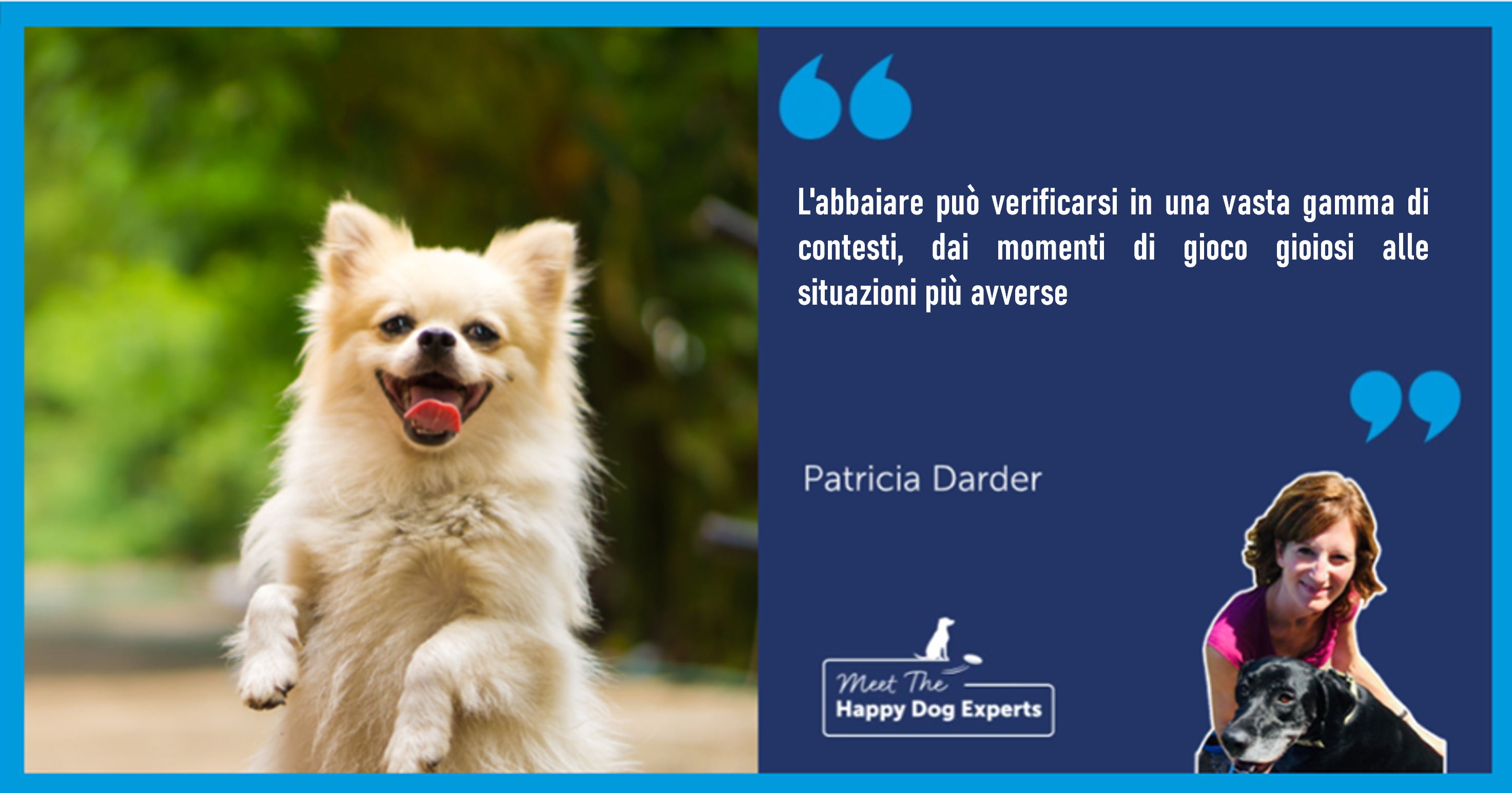 Perché i cani abbaiano? Ce lo spiega un esperto