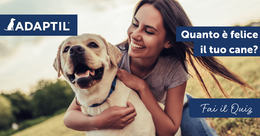 Quanto è felice il tuo cane?