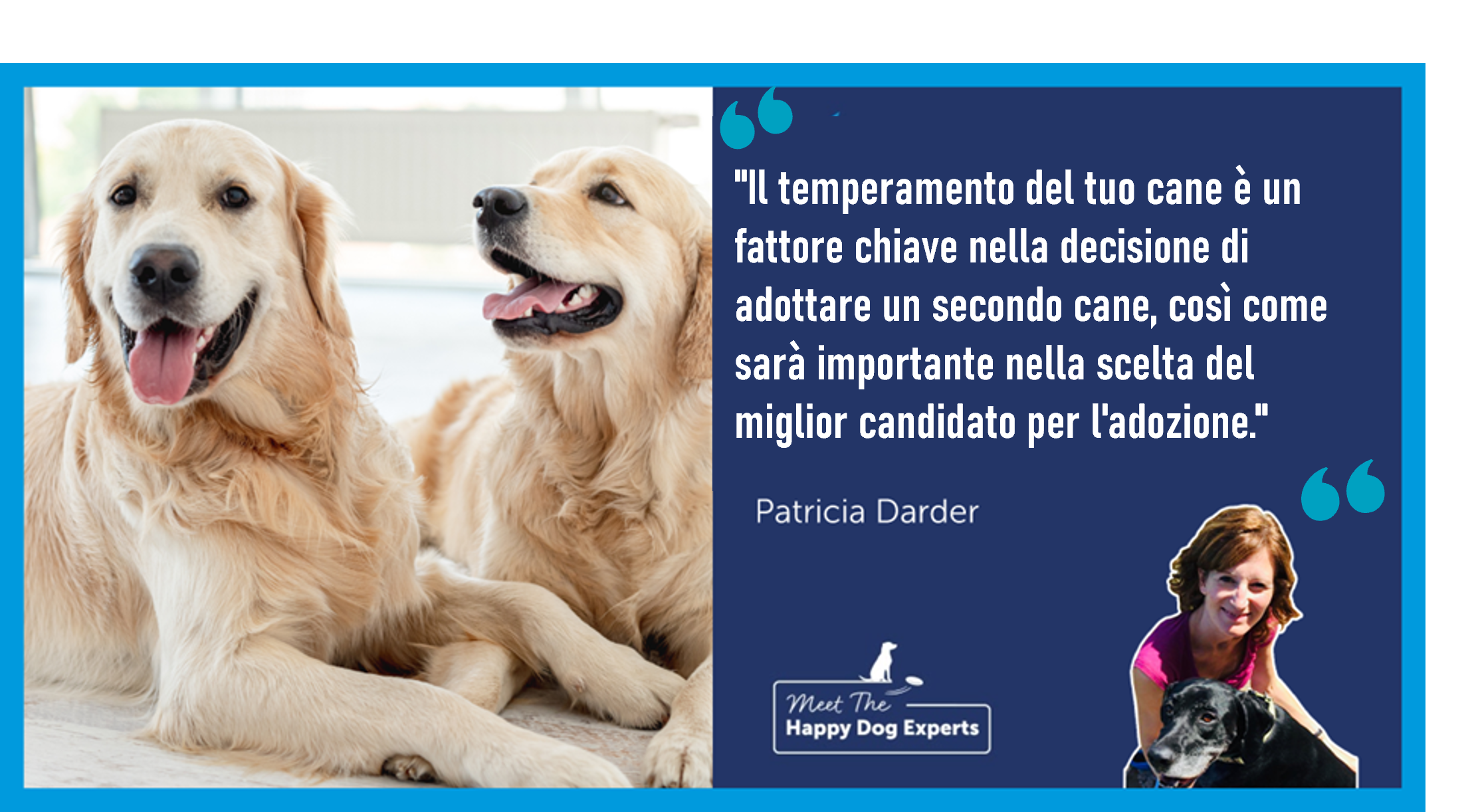 Adottare un secondo cane