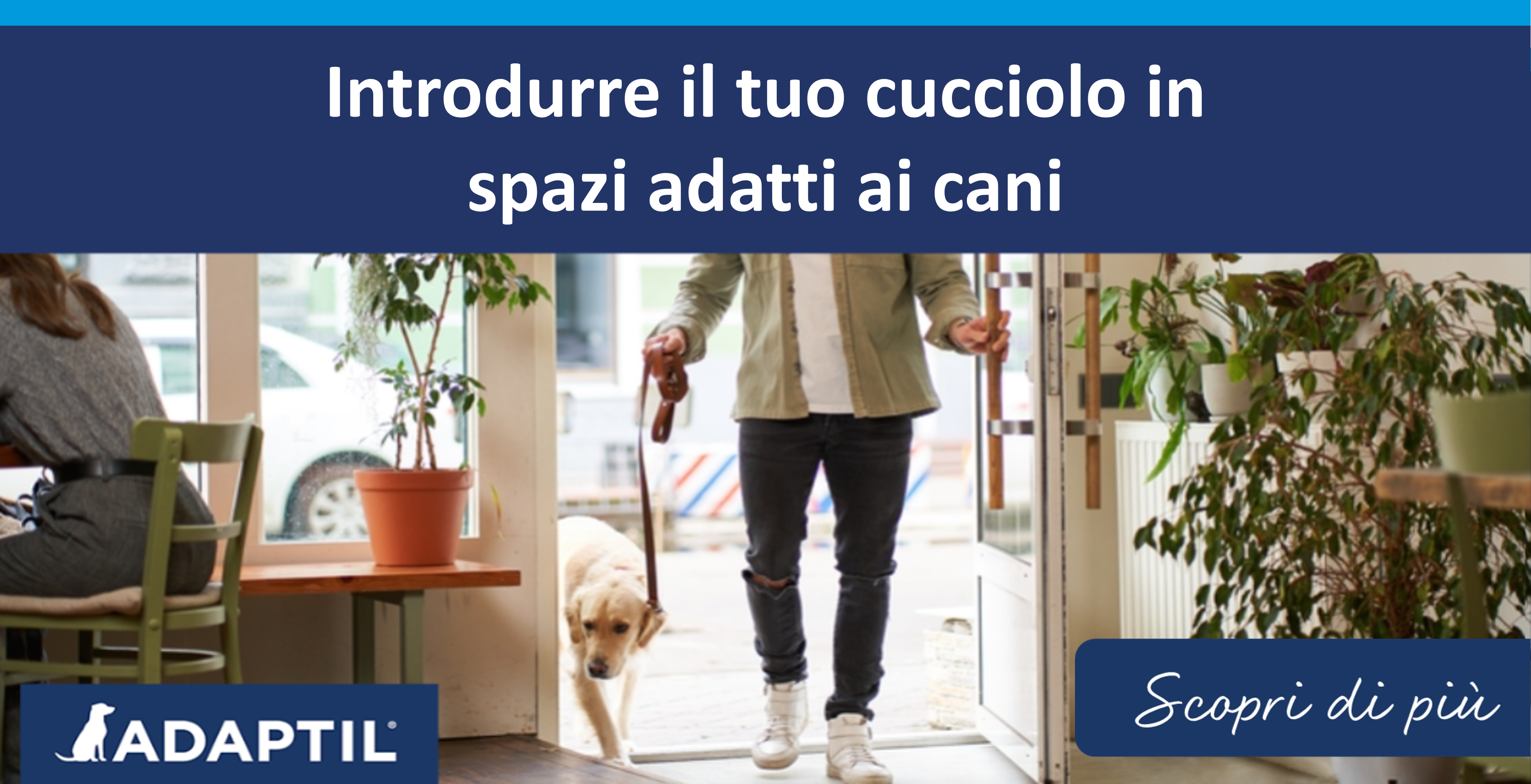 Introdurre il tuo cucciolo in spazi adatti ai cani