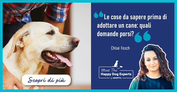 Le cose da sapere prima di adottare un cane: quali domande porsi?