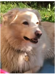 TEMPESTA, 9 ANNI