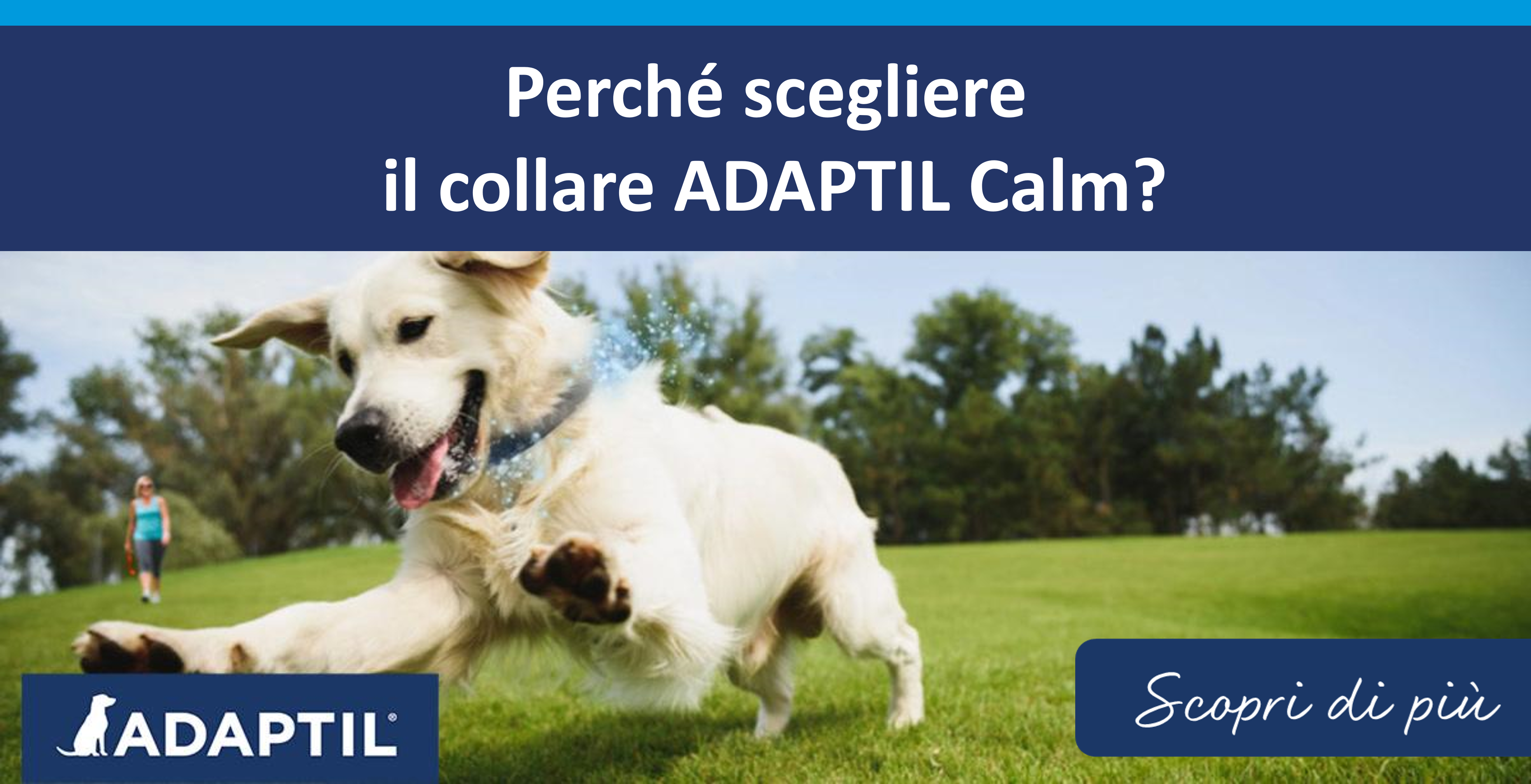 Perché scegliere il collare ADAPTIL Calm?