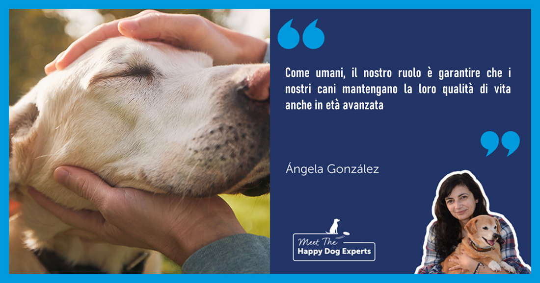 un cane può avere l'Alzheimer? Ce lo spiega l'esperto