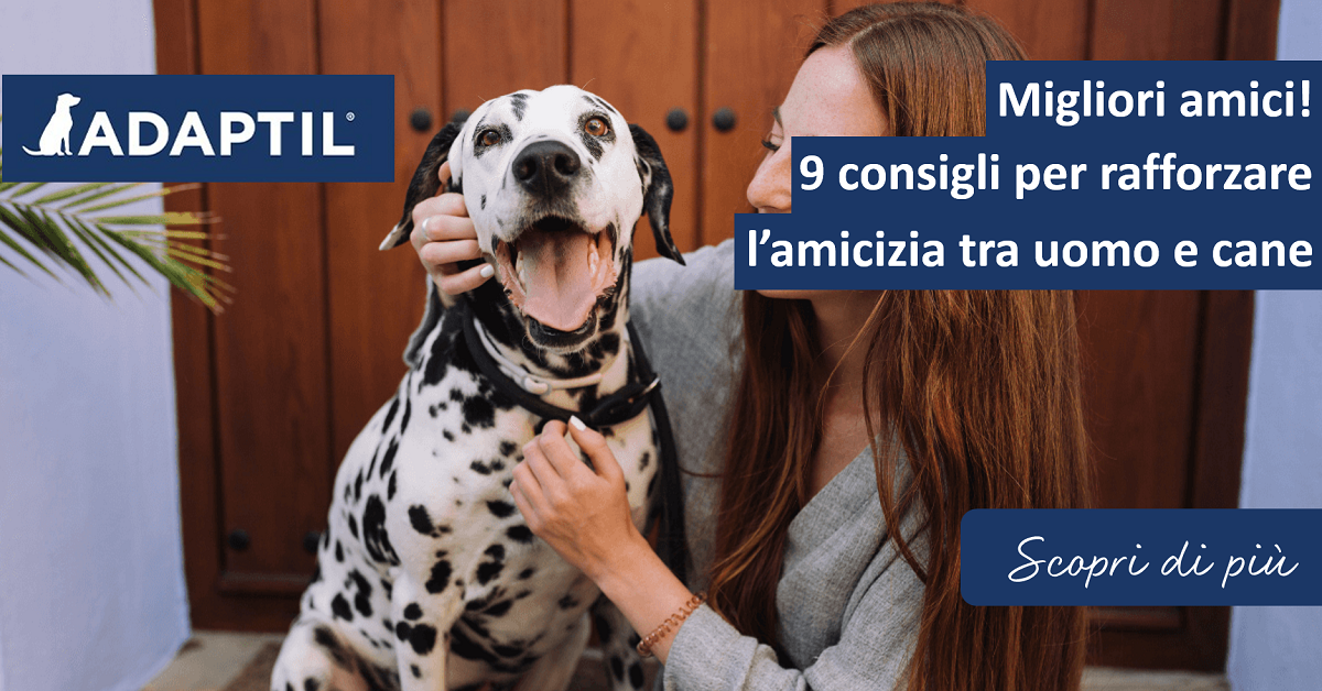 Migliori amici! 9 consigli per rafforzare l’amicizia tra uomo e cane!