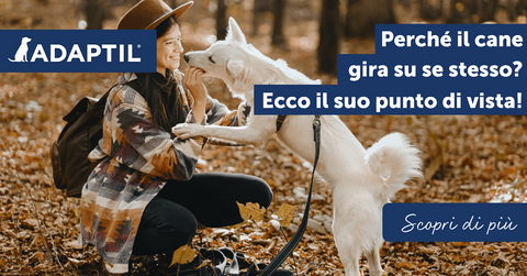 Perché il cane gira su se stesso? Ecco il suo punto di vista!