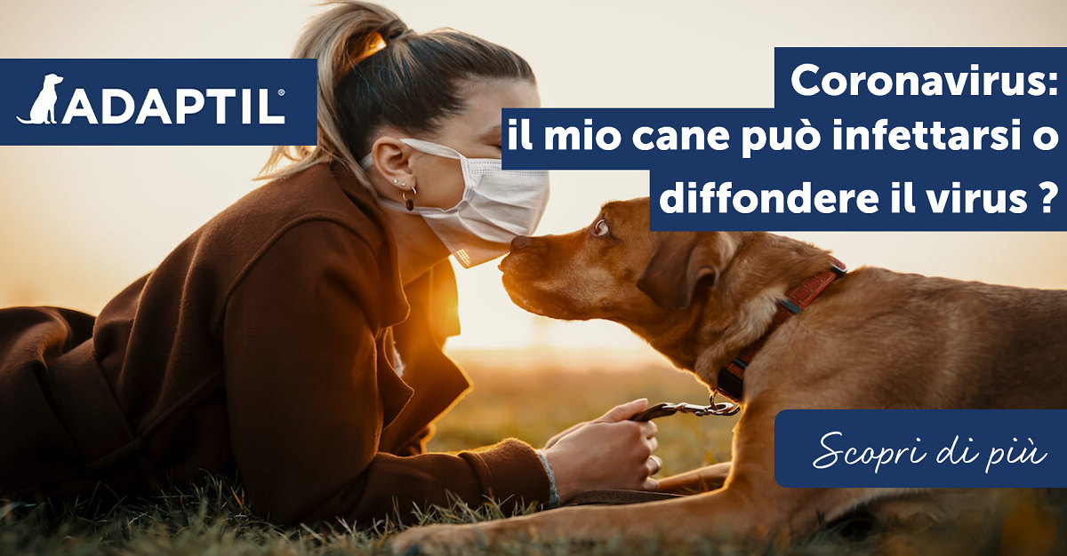 Coronavirus: Il mio cane può infettarsi o diffondere il virus?