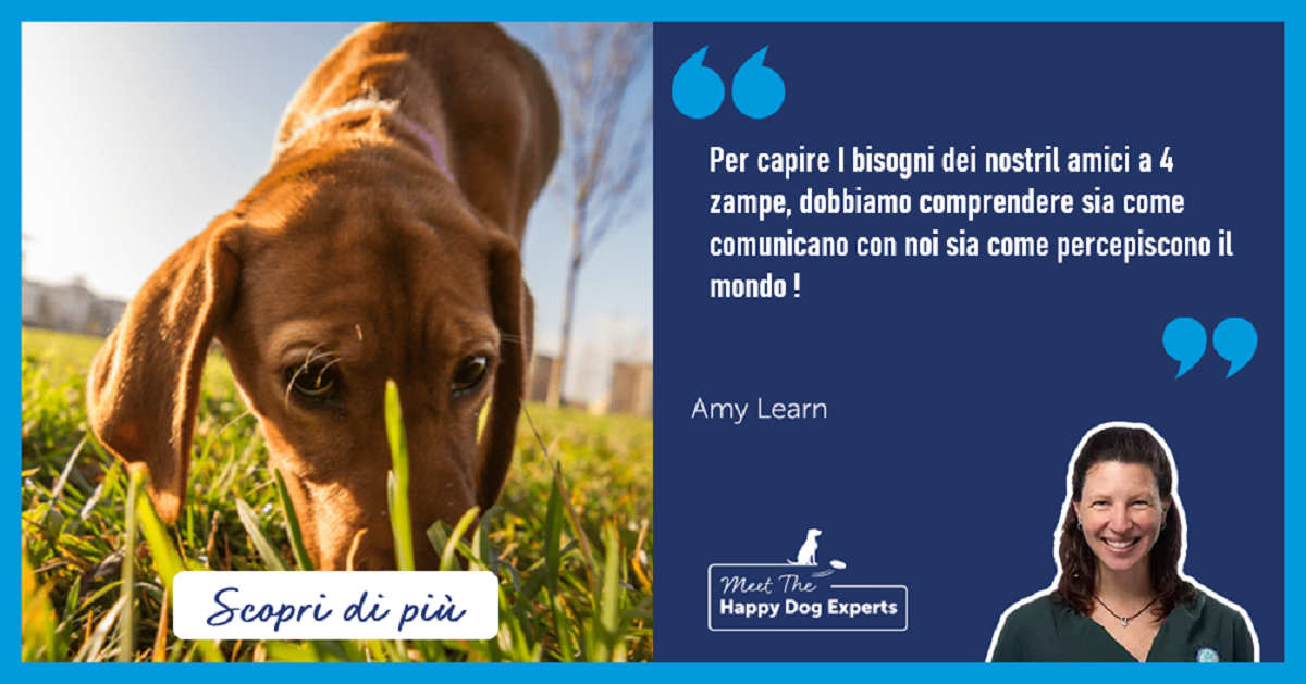 Happy Dog Expert: Il senso del tatto nel cane