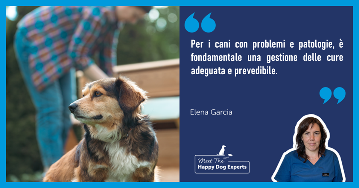 Come adattare l'ambiente ai cani con problemi medici: la spiegazione di un esperto