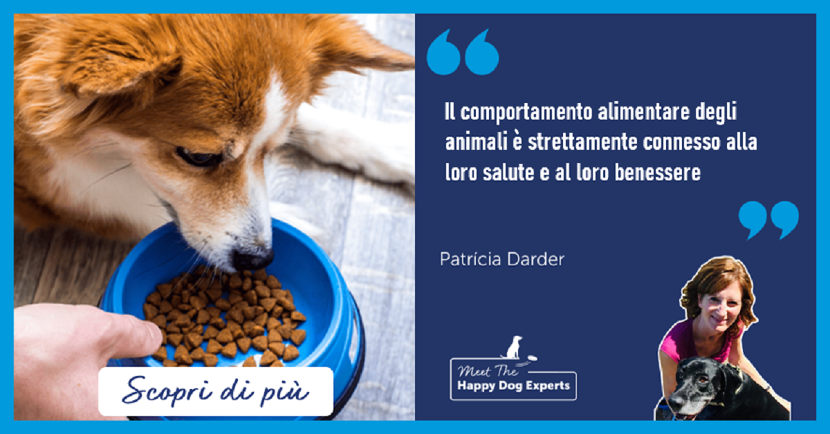 Il comportamento alimentare del cane – Le abitudini del tuo amico a quattro zampe dovrebbero preoccuparti?