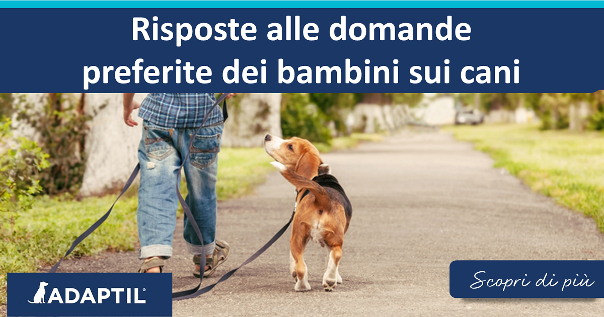 Risposte alle domande preferite dei bambini sui cani