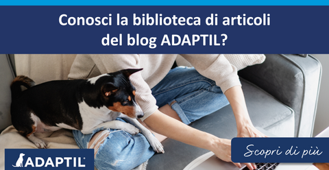 Conosci la biblioteca di articoli del blog ADAPTIL?