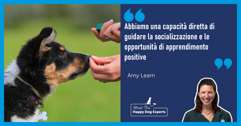 Happy Dog Expert: Sviluppo del cucciolo