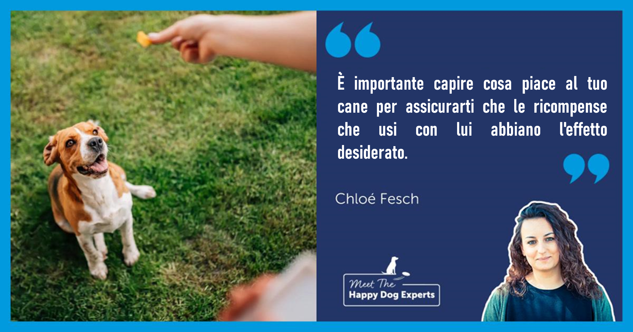 Qual è il modo migliore per premiare il tuo cane