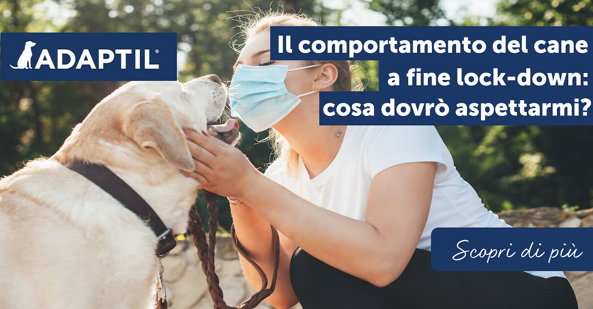 Il comportamento del cane a fine Lockdown: cosa dovrò aspettarmi?