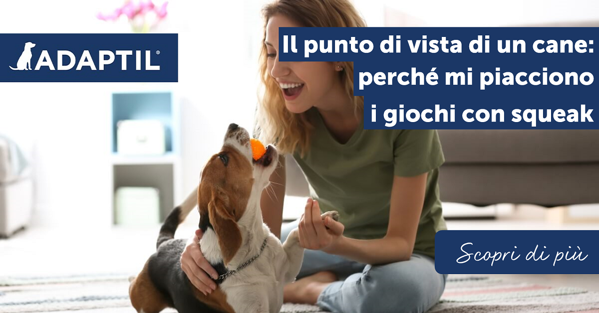 Il punto di vista di un cane: perché mi piacciono i giochi con squeak?