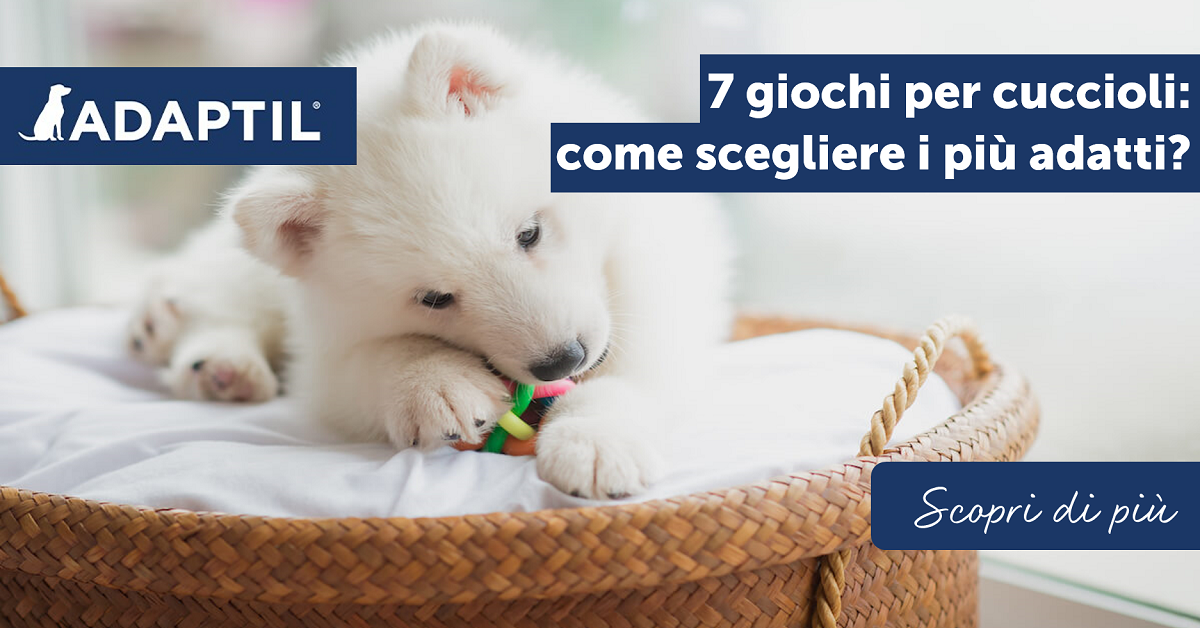 7 Giochi per cuccioli: come scegliere i più adatti?