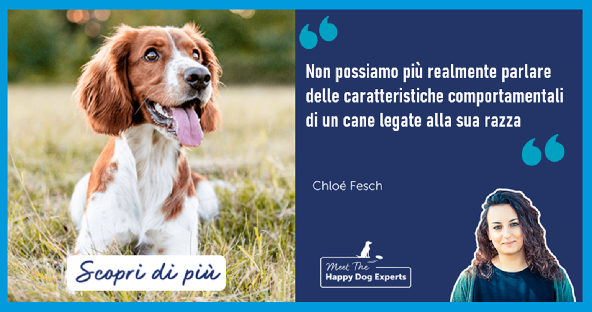 9 comuni malintesi sui nostri cani spiegati dall'esperto