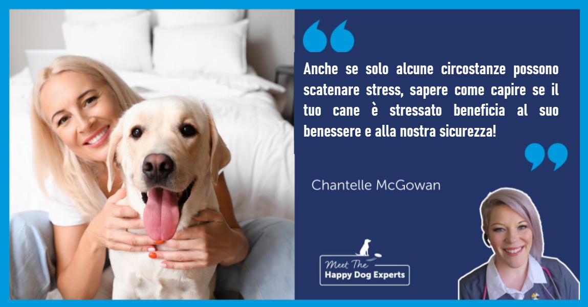 Donna che abbraccia il suo labrador seduto tra le sue gambe con la lingua fuori. 