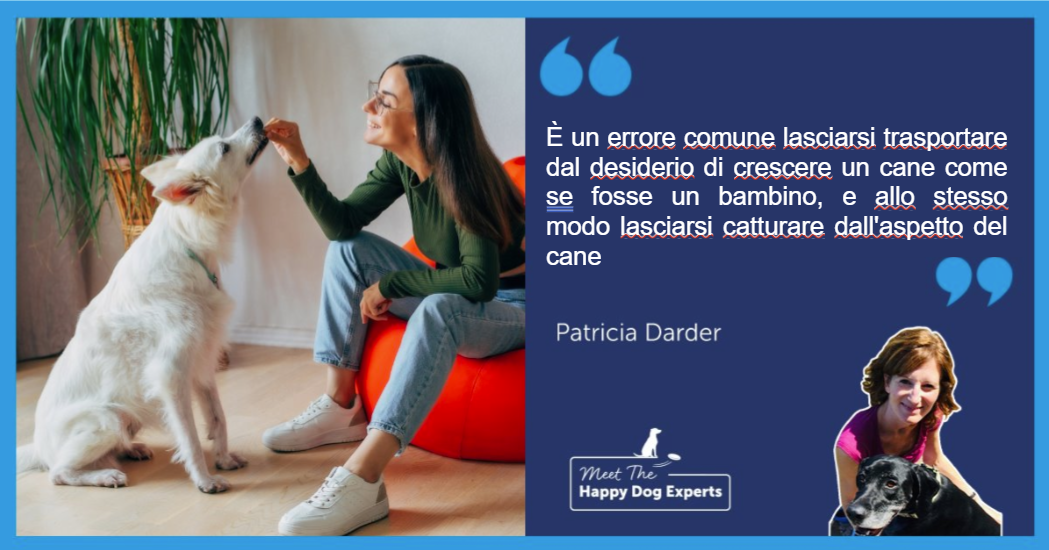 Donna seduta su un pouf che premia un cane seduto con un premio a un cane seduto.