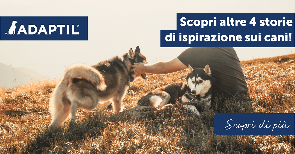 Scopri altre 4 storie di ispirazione sui cani!