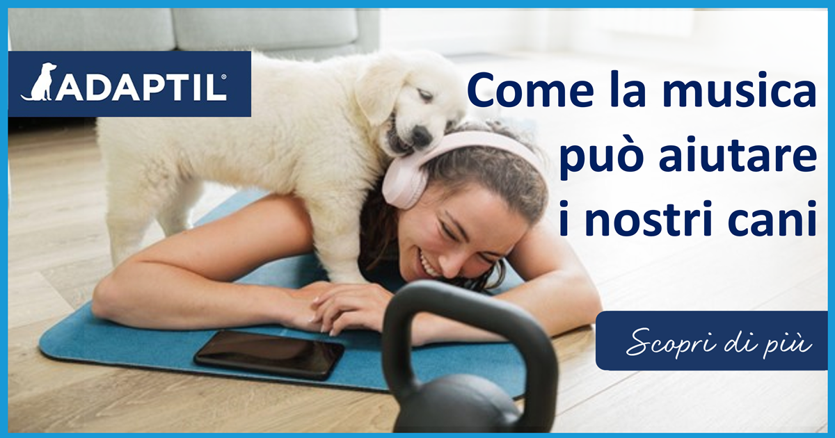Come la musica può aiutare i nostri cani