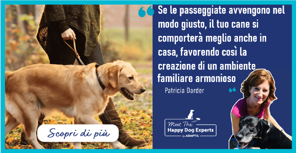 Camminare con il cane: tutti i benefici per lui e per la famiglia