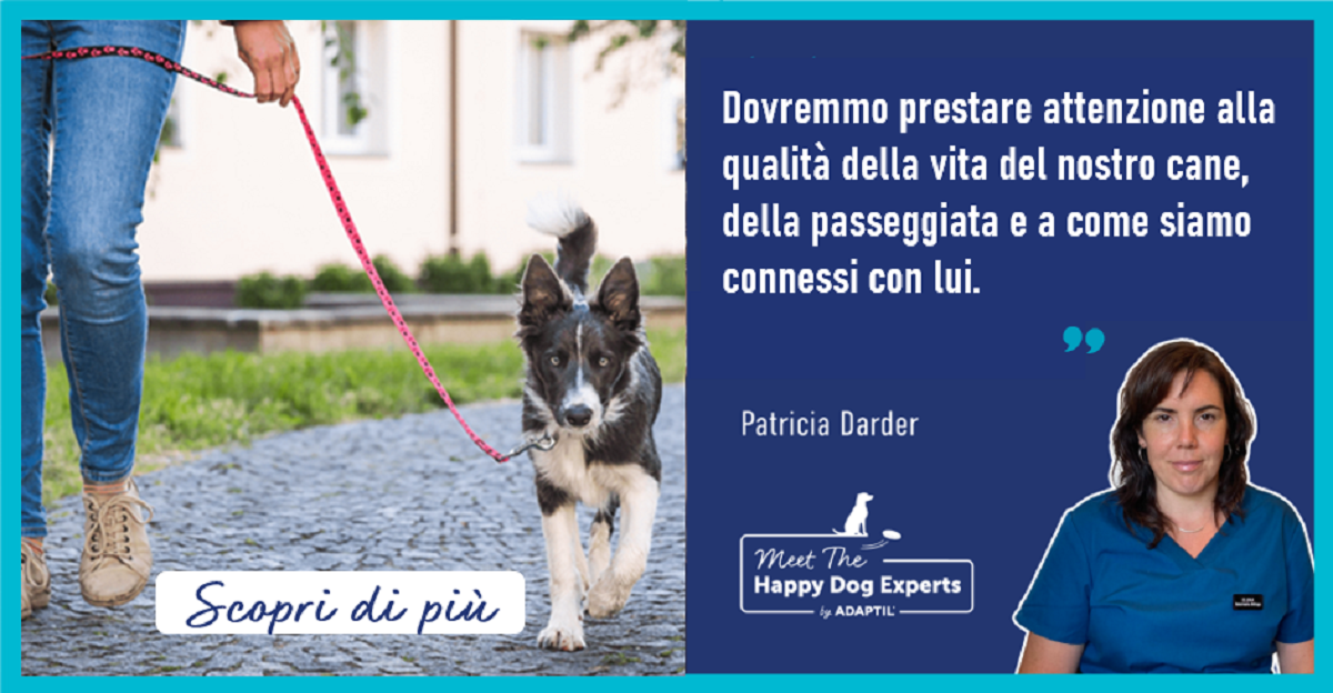 Come Passeggiare con il Tuo Cane in Modo Efficace