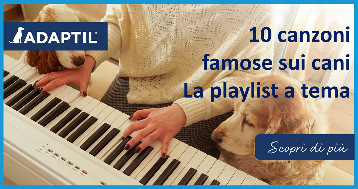 10 canzoni famose sui cani - La playlist a tema