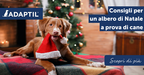 Consigli per un albero di Natale a prova di cane